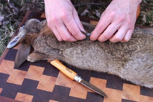 Нож для убоя кроликов
