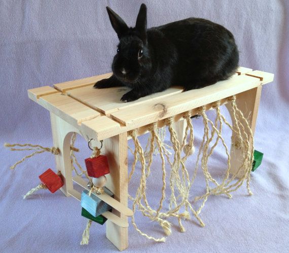 Как сделать игрушку для кролика